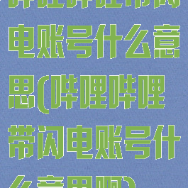 哔哩哔哩带闪电账号什么意思(哔哩哔哩带闪电账号什么意思啊)