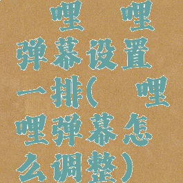 哔哩哔哩弹幕设置一排(哔哩哔哩弹幕怎么调整)