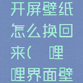 哔哩哔哩开屏壁纸怎么换回来(哔哩哔哩界面壁纸)