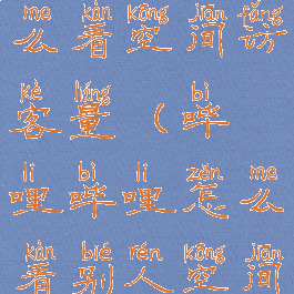 哔哩哔哩怎么看空间访客量(哔哩哔哩怎么看别人空间)