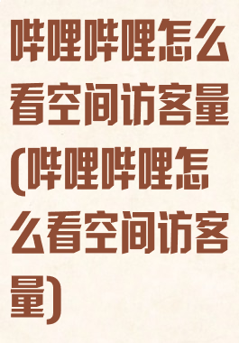 哔哩哔哩怎么看空间访客量(哔哩哔哩怎么看空间访客量)