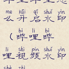 哔哩哔哩怎么开启水印(哔哩哔哩视频水印设置)