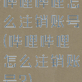 哔哩哔哩怎么注销账号(哔哩哔哩怎么注销账号?)