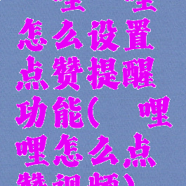 哔哩哔哩怎么设置点赞提醒功能(哔哩哔哩怎么点赞视频)