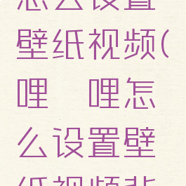 哔哩哔哩怎么设置壁纸视频(哔哩哔哩怎么设置壁纸视频背景)