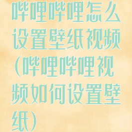 哔哩哔哩怎么设置壁纸视频(哔哩哔哩视频如何设置壁纸)