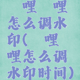 哔哩哔哩怎么调水印(哔哩哔哩怎么调水印时间)