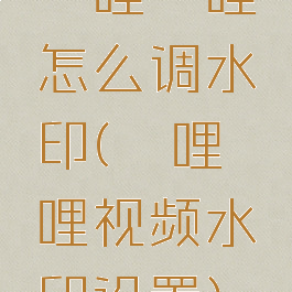 哔哩哔哩怎么调水印(哔哩哔哩视频水印设置)