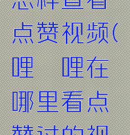 哔哩哔哩怎样查看点赞视频(哔哩哔哩在哪里看点赞过的视频)