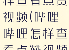 哔哩哔哩怎样查看点赞视频(哔哩哔哩怎样查看点赞视频的时间)