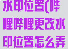 哔哩哔哩更改水印位置(哔哩哔哩更改水印位置怎么弄)