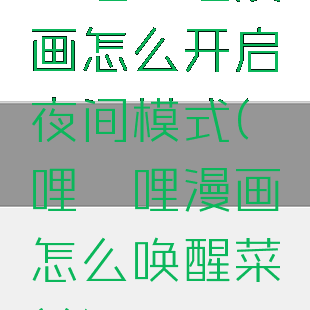 哔哩哔哩漫画怎么开启夜间模式(哔哩哔哩漫画怎么唤醒菜单)
