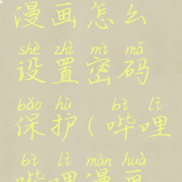 哔哩哔哩漫画怎么设置密码保护(哔哩哔哩漫画怎么解锁)