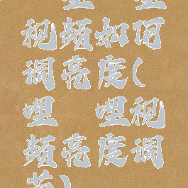 哔哩哔哩视频如何调亮度(哔哩哔哩视频亮度调节)