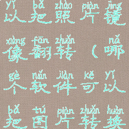 哪个软件可以把照片镜像翻转(哪个软件可以把图片转换成文字)