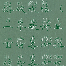 哪个软件有游戏攻略(一个软件里面有各种游戏的各种攻略)