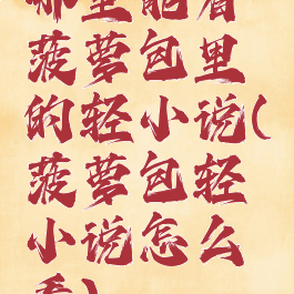 哪里能看菠萝包里的轻小说(菠萝包轻小说怎么看)