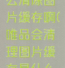唯品会怎么清除图片缓存啊(唯品会清理图片缓存是什么意思)