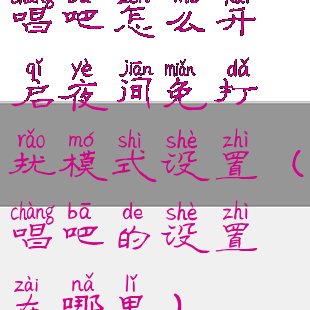 唱吧怎么开启夜间免打扰模式设置(唱吧的设置在哪里)