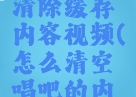 唱吧怎么清除缓存内容视频(怎么清空唱吧的内存)