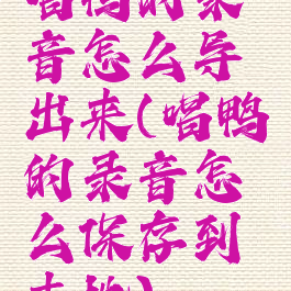 唱鸭的录音怎么导出来(唱鸭的录音怎么保存到本地)