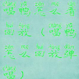 唱鸭怎么看回放(唱鸭怎么回放弹唱)