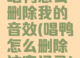 唱鸭怎么删除我的音效(唱鸭怎么删除访客记录)