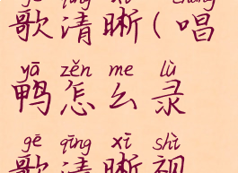 唱鸭怎么录歌清晰(唱鸭怎么录歌清晰视频)