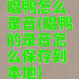 唱鸭怎么录音(唱鸭的录音怎么保存到本地)
