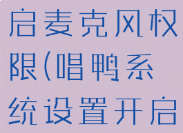 唱鸭怎么开启麦克风权限(唱鸭系统设置开启权限)