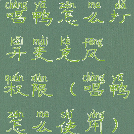 唱鸭怎么打开麦克风权限(唱鸭怎么使用)