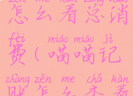 喵喵记账怎么看总消费(喵喵记账怎么查看小票)