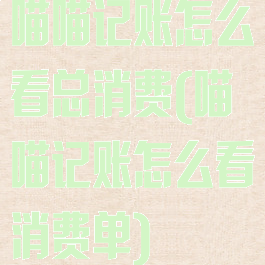喵喵记账怎么看总消费(喵喵记账怎么看消费单)