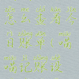 喵喵记账怎么查看今日账单(喵喵记账设置在哪里)