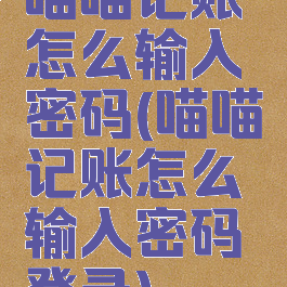 喵喵记账怎么输入密码(喵喵记账怎么输入密码登录)