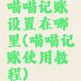 喵喵记账设置在哪里(喵喵记账使用教程)