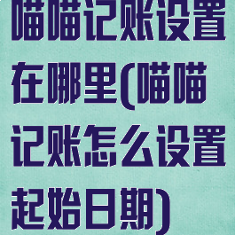 喵喵记账设置在哪里(喵喵记账怎么设置起始日期)