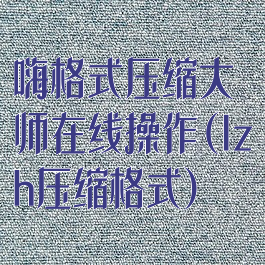 嗨格式压缩大师在线操作(lzh压缩格式)