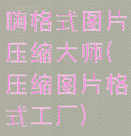 嗨格式图片压缩大师(压缩图片格式工厂)