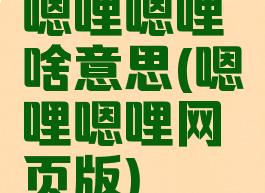 嗯哩嗯哩啥意思(嗯哩嗯哩网页版)