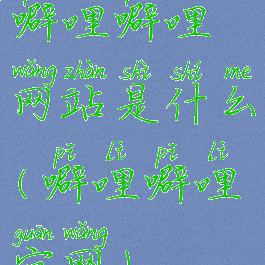 噼哩噼哩网站是什么(噼哩噼哩官网)