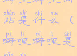 噼哩噼哩网站是什么(噼哩噼哩是干嘛)