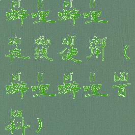 噼哩噼哩在线使用(噼哩噼哩百科)