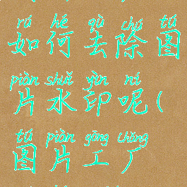 图片工厂如何去除图片水印呢(图片工厂如何p图)