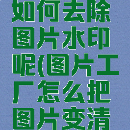 图片工厂如何去除图片水印呢(图片工厂怎么把图片变清晰)