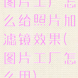 图片工厂怎么给照片加滤镜效果(图片工厂怎么用)