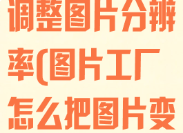 图片工厂怎么调整图片分辨率(图片工厂怎么把图片变清晰)