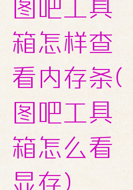 图吧工具箱怎样查看内存条(图吧工具箱怎么看显存)