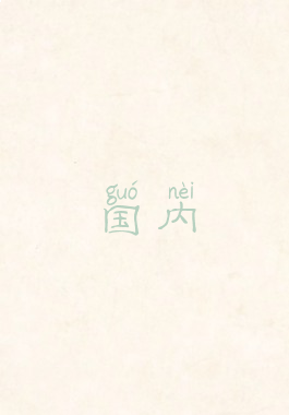 国内
