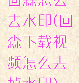 回森怎么去水印(回森下载视频怎么去掉水印)